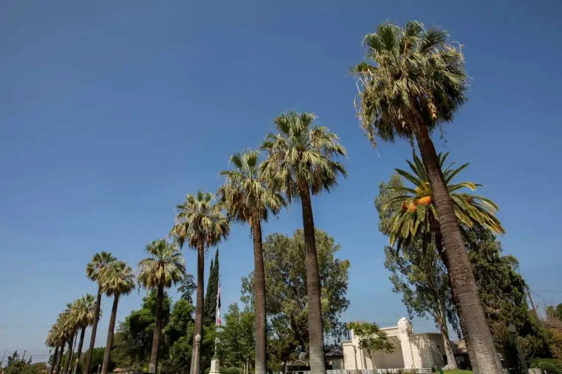 Commercial Roofing in Colton, CA Commercial Roofing in Colton, CA